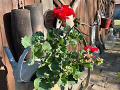 Eladó ház Debrecen