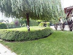 Eladó ház Szentendre