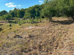 Eladó földterület Csákvár