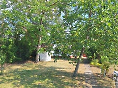 Eladó földterület Szeged, Baktó