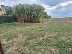 Eladó földterület Balatonszabadi
