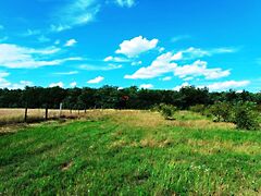 Eladó földterület Sződ