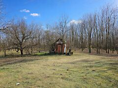 Eladó földterület Kiskunhalas