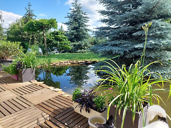 Eladó ház Nagykálló, Központ