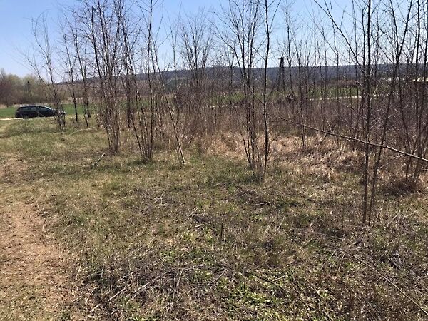 Eladó földterület Látrány