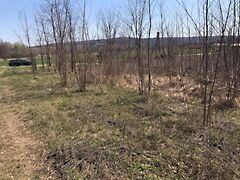 Eladó földterület Látrány