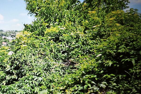 Eladó földterület Budapest, III. kerület