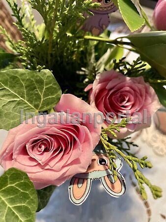 Eladó földterület Szentendre