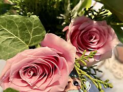 Eladó földterület Szentendre