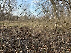 Eladó földterület Tata, Újhegy