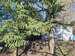 Eladó földterület Budakeszi