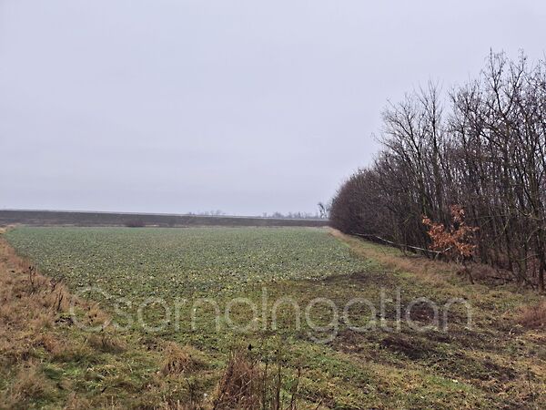 Eladó földterület Babót