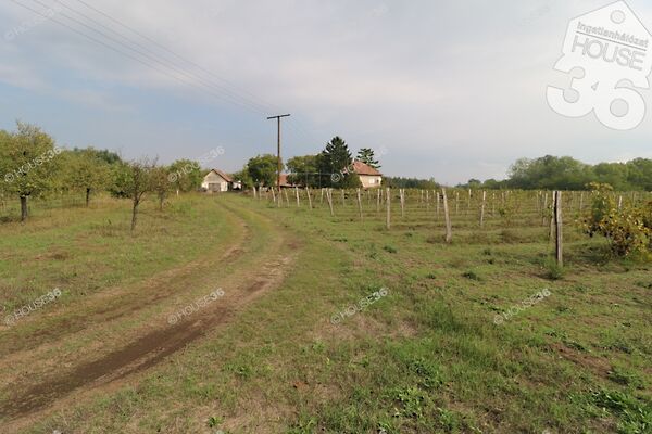 Eladó földterület Tázlár