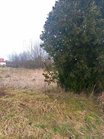 Eladó földterület Sárkeresztes