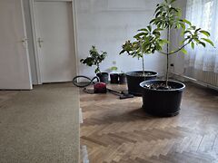 Eladó ház Keszthely