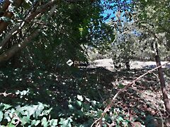 Eladó földterület Pécs