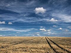 Eladó földterület Fót