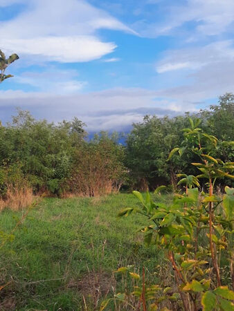 Eladó földterület Adács