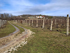 Eladó földterület Balatonrendes