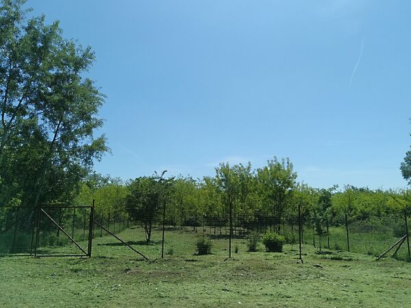 Eladó földterület Monorierdő