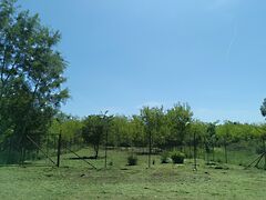 Eladó földterület Monorierdő