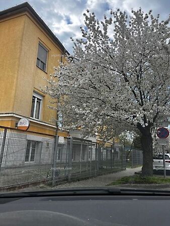 Eladó üzleti Szolnok