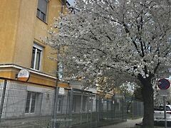 Eladó üzleti Szolnok