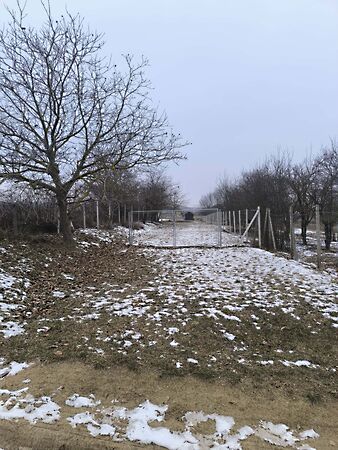 Eladó földterület Sopron