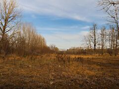 Eladó földterület Tápiószentmárton