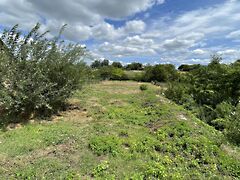 Eladó földterület Kocs