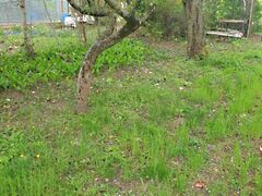 Eladó földterület Tatabánya, Kertváros