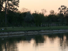Eladó üzleti Szeged, Baktó