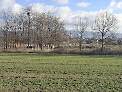 Eladó földterület Tata