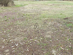 Eladó földterület Zalacsány