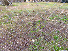 Eladó földterület Zalacsány