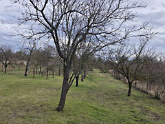 Eladó földterület Szolnok, Szandaszőlős