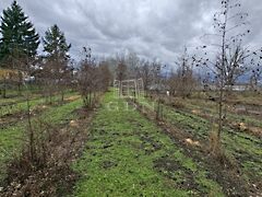 Eladó földterület Nagyigmánd