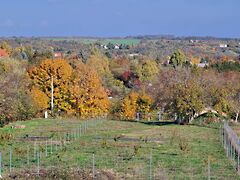 Eladó földterület Balatonkenese