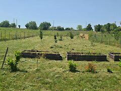 Eladó földterület Balatonkenese