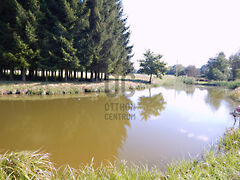 Eladó ház Pusztaszentlászló