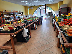 Eladó üzleti Szeged