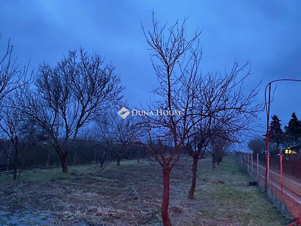 Eladó nyaraló Csabdi