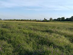 Eladó földterület Paloznak