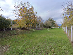 Eladó földterület Sopron