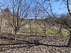 Eladó földterület Pellérd