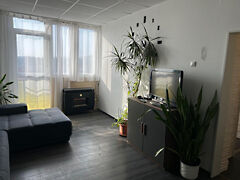 Eladó lakás Tököl