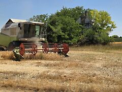 Eladó földterület Felgyő