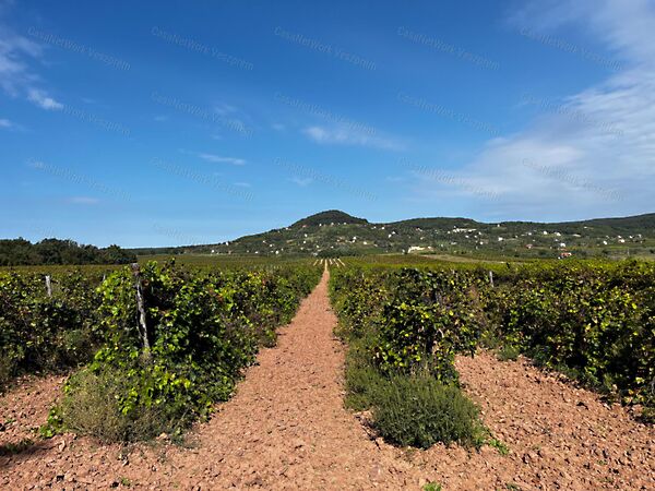 Eladó földterület Zánka