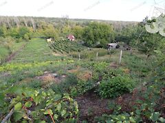 Eladó nyaraló Bölcske