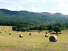 Eladó földterület Vác